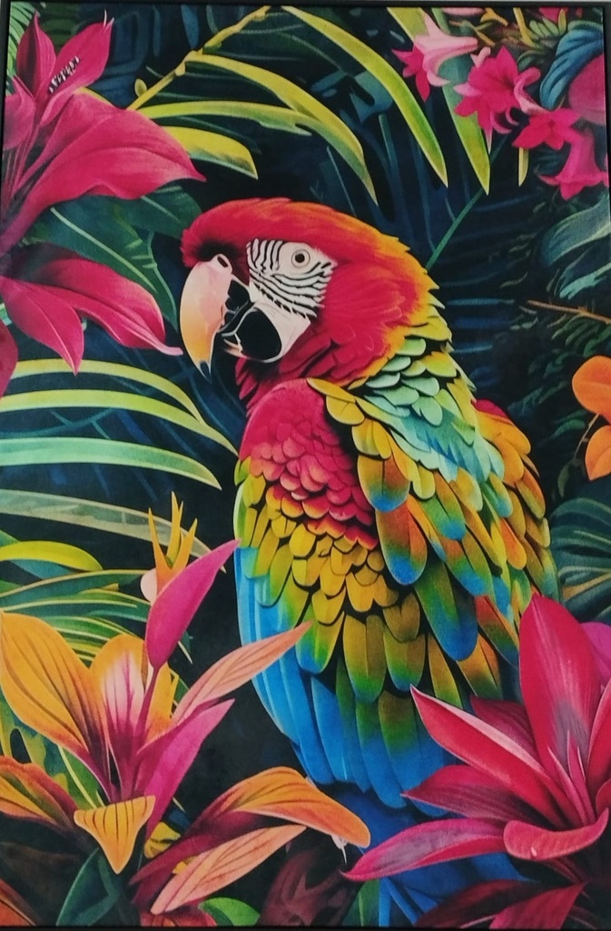 CUADRO ESTAMPADO TERC. MARCO