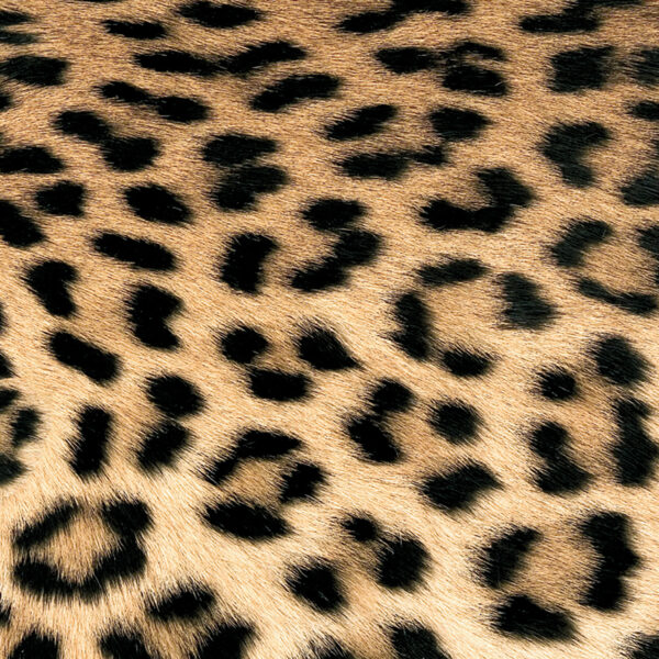 SERVILLETAS LEOPARD COUTURE 33X33
