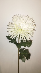 [147.276-239WT] CRISANTEMO BLANCO L.90