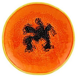 [3.65029335] PLATO POSTRE PAPAYA 21CM
