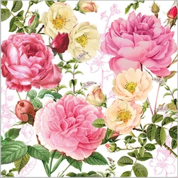 [125003303] SERVILLETAS 25*25 ROSALIE