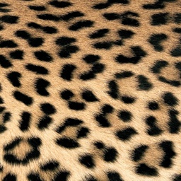 [6530] SERVILLETAS LEOPARD COUTURE 33X33
